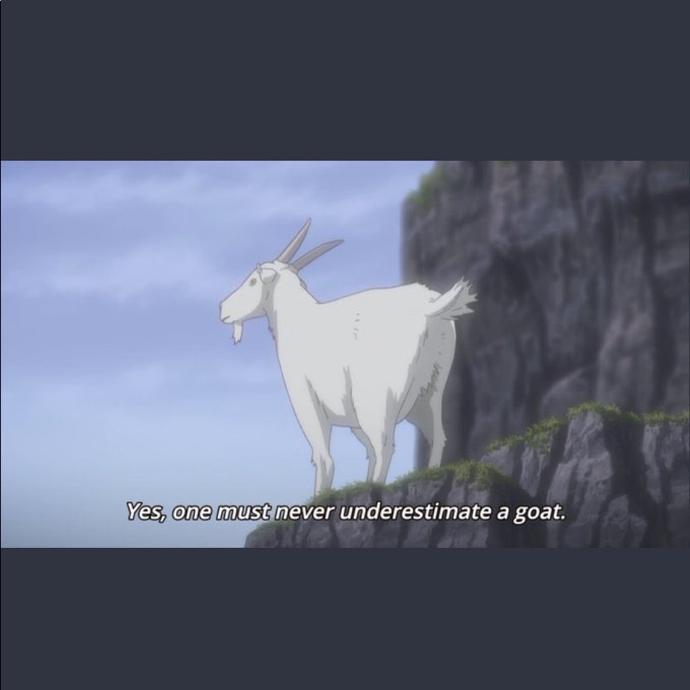 Meet your Posher, Sammy